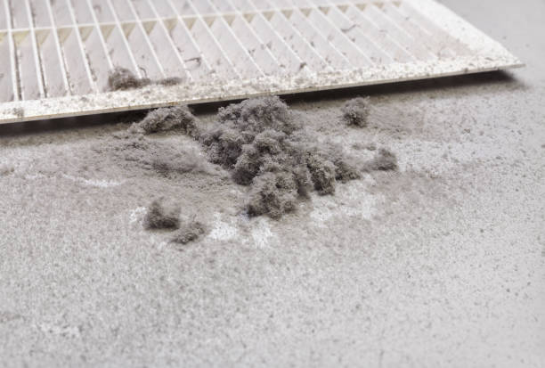 Best Air Duct Cleaning Near Me  in Cary, IL