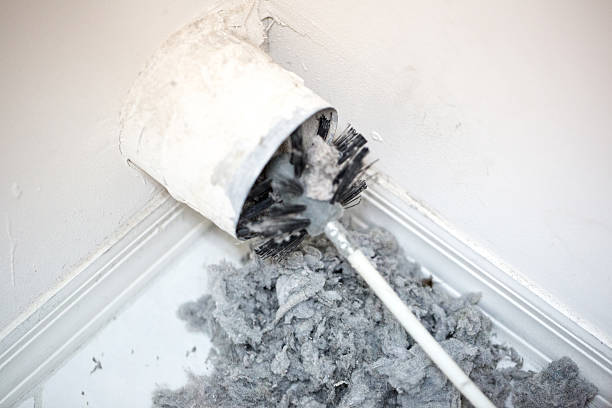 Best Affordable Air Duct Cleaning  in Cary, IL
