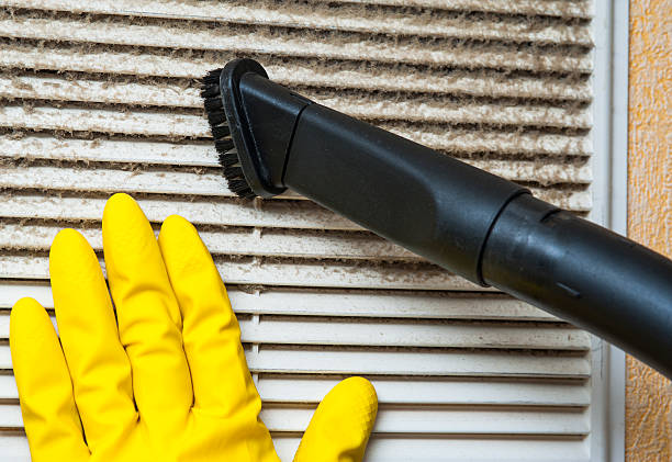 Best Affordable HVAC Duct Cleaning  in Cary, IL